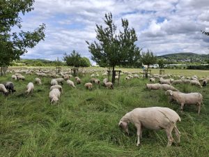 8361e732-c5b8-4525-83eb-7ce9345a4760 2