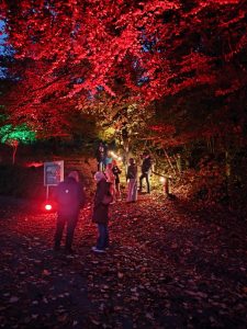 2a4fa622-c59c-483e-b0c6-df303ad9a5b5