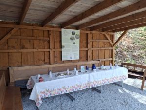 4f8dce56-5fcb-411c-8954-3e2b1fc67e03