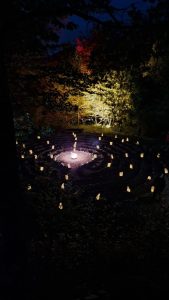 d79994a3-26fb-45ce-9053-b8f87608c395