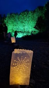 fc2c0d58-22b5-4539-8881-db861d43ca4f